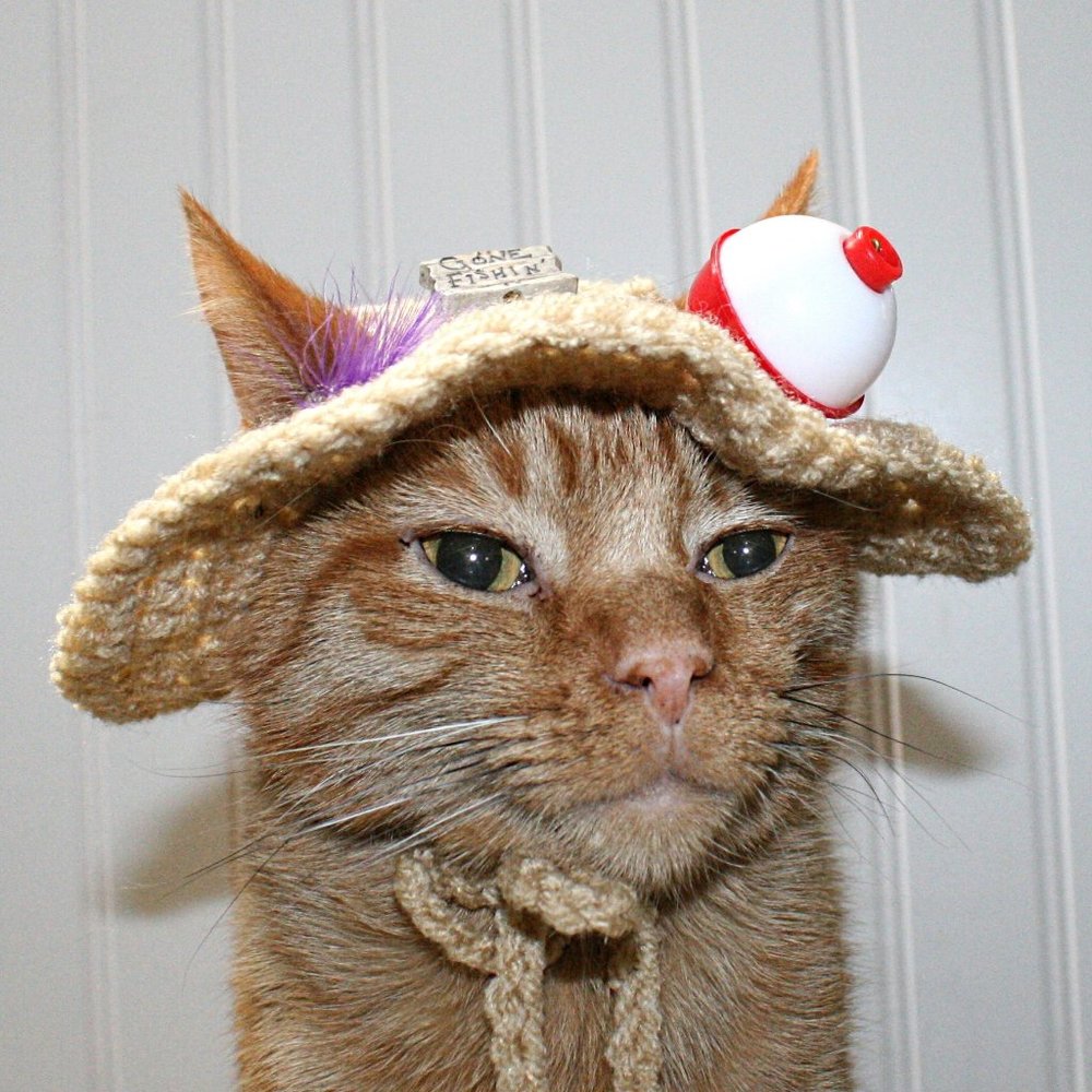HAND CRAFTED Gone Fishing Cat Hat Crochet Hairy Wig Costume Photo Prop - Picture 3 of 15